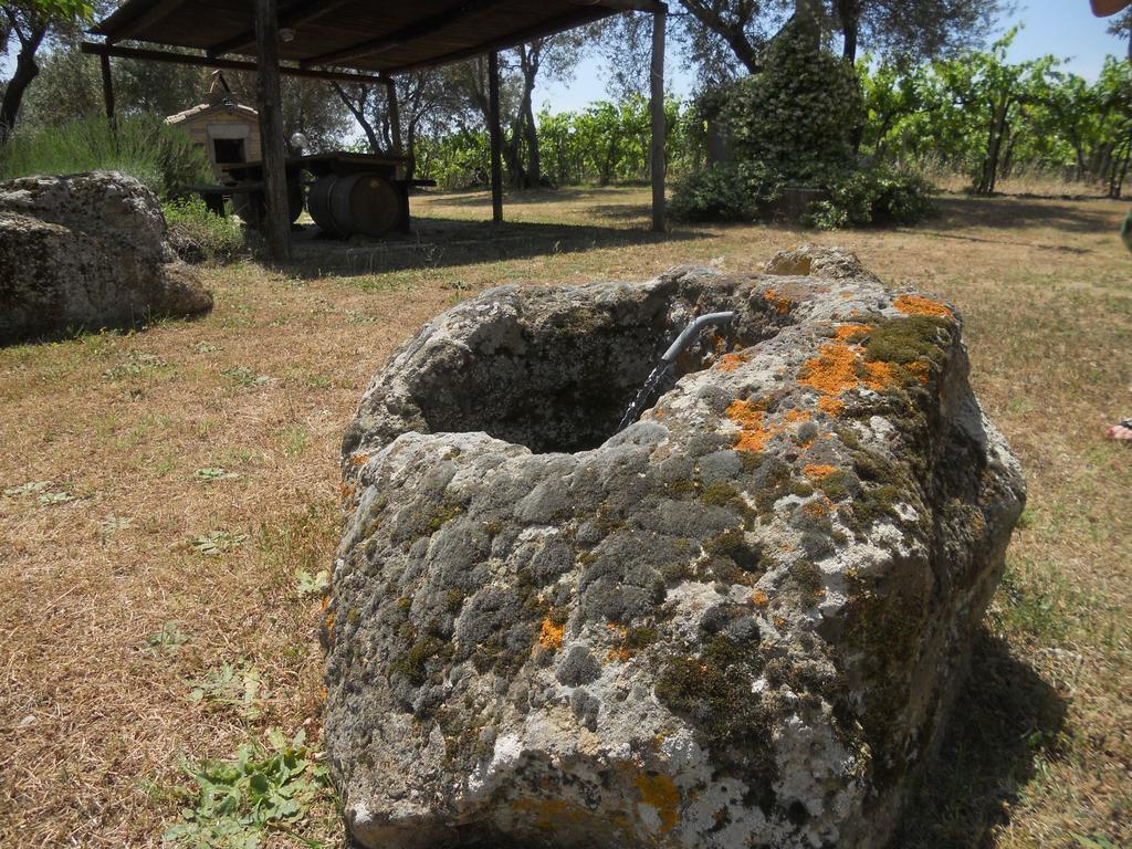 Agriturismo Tenuta Roccaccia Pitigliano Dış mekan fotoğraf
