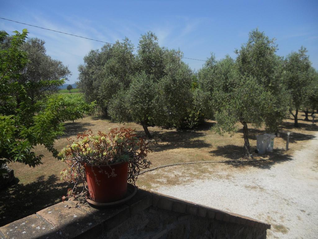 Agriturismo Tenuta Roccaccia Pitigliano Dış mekan fotoğraf